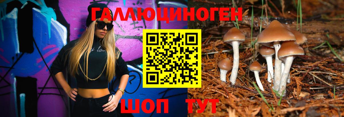 Галлюциногенные грибы прущие грибы  Вход с VPN  Кувандык 